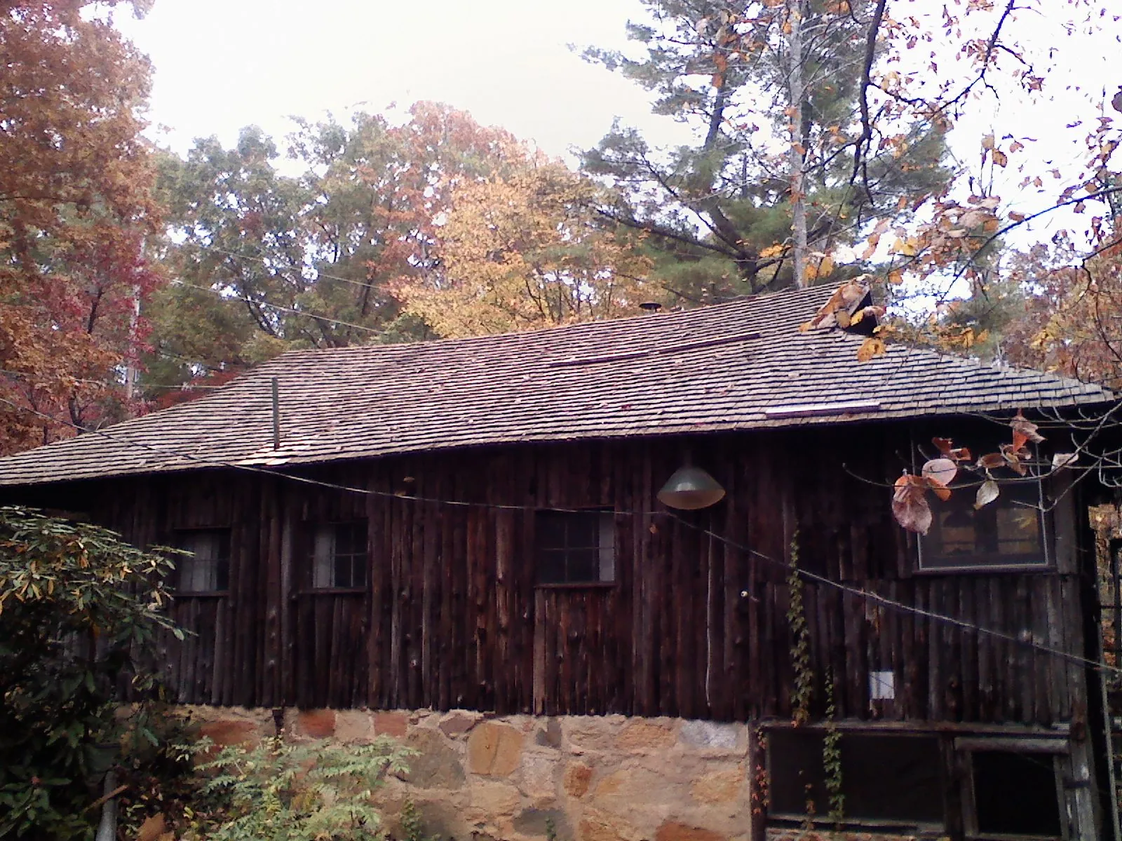 Weathered wood shake roof on a rustic board sided cabin in Promise City