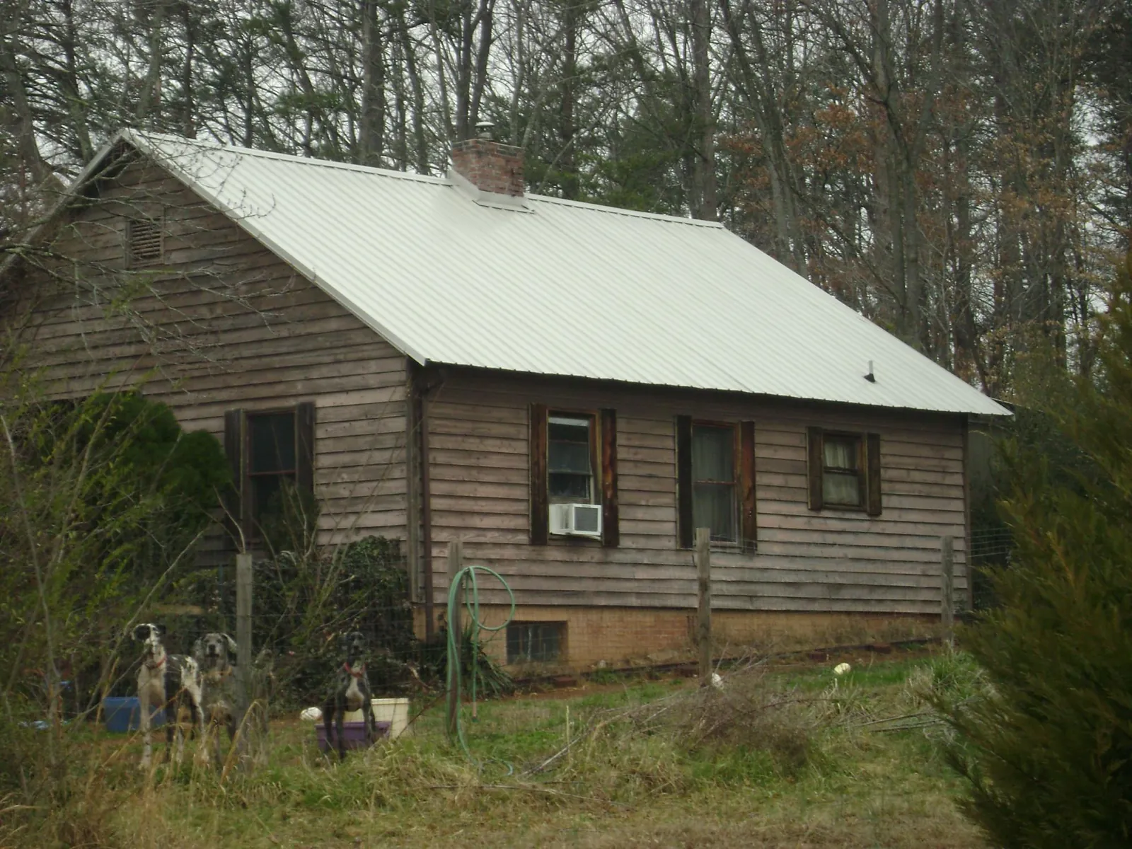 White metal roof on an old wood sided farmhouse, from a Asphalt Shingle Roof Repair job in Promise City